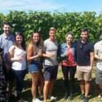 winery tours new zealand
