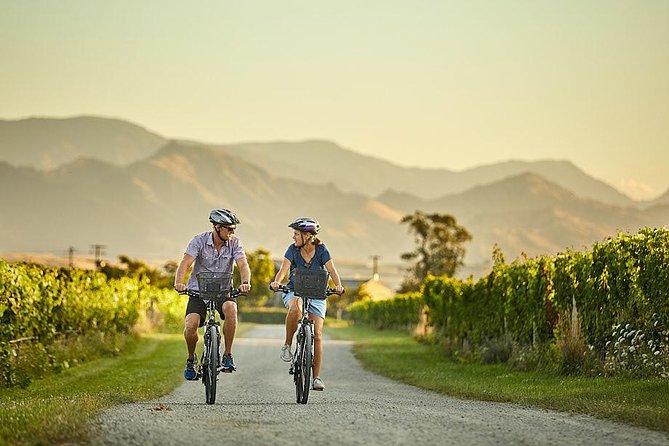 Private Biking Wine Tour (full day) in the Marlborough Region