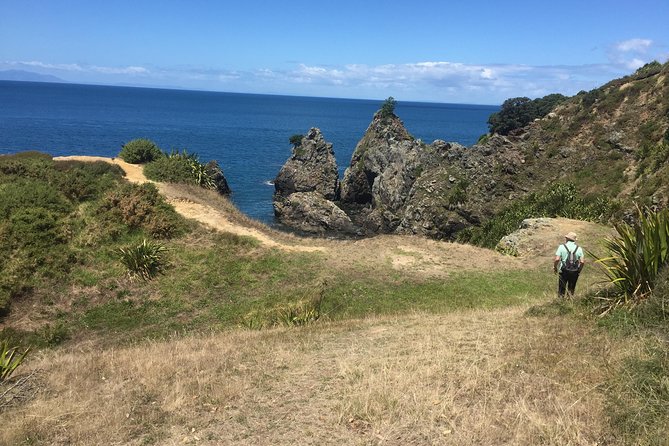 Stunning Auckland East Coast Walk & Wine Private Tour