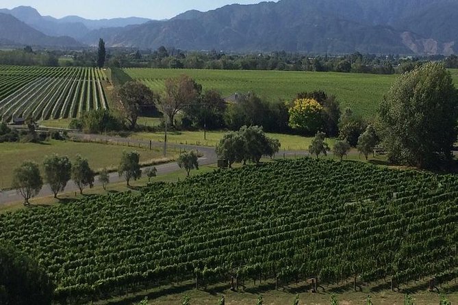 Half-Day Marlborough Gourmet Tasting Tour from Blenheim