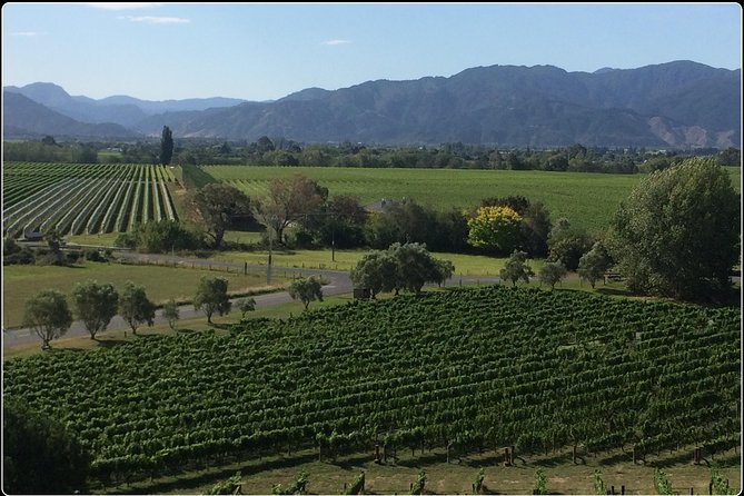 Private Wine Gourmet and Scenic Delights Tour from Picton