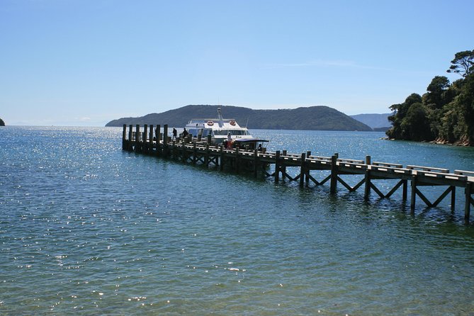 Full-Day Marlborough Catamaran Cruise with Wine Tour and Lunch