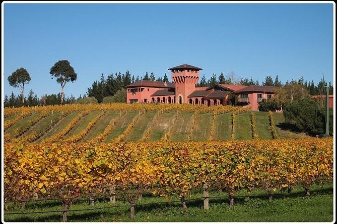 Private Tour: Winter Wine and Scenic Delights Tour from Picton