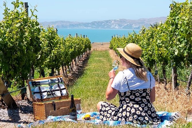 CRUISE SHIP DAY Hop on Hop off Yealands & Marlborough tour