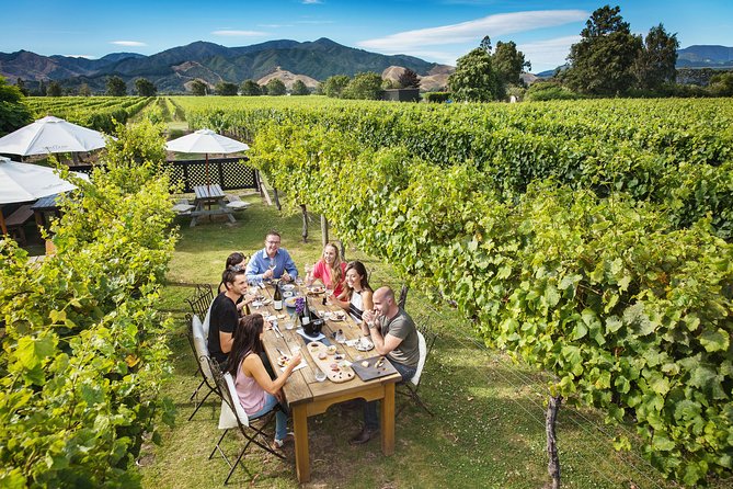 Gourmet Gold Winery Tour Marlborough – Full Day