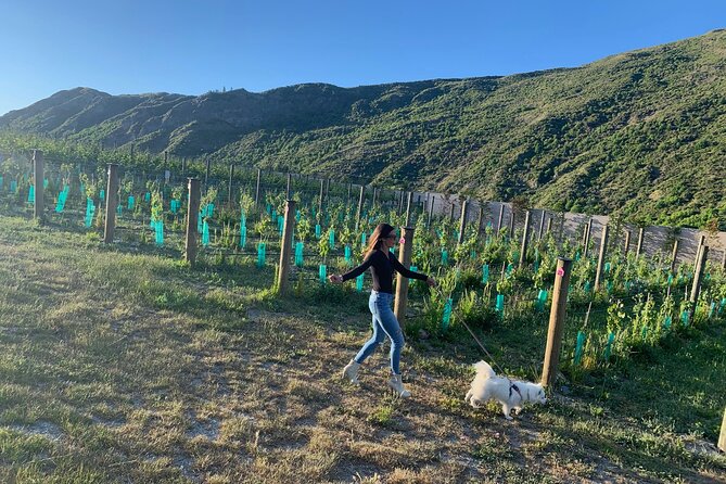 Private Dog Friendly Wine Tour with your Local Guide