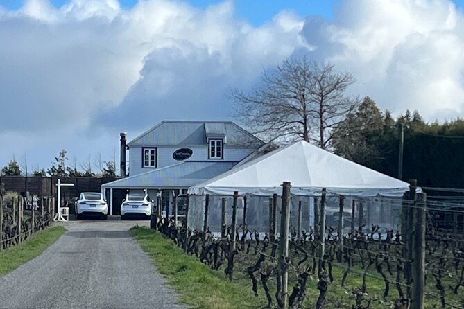 Martinborough High Tea and Wine Tour in Tesla SUVs