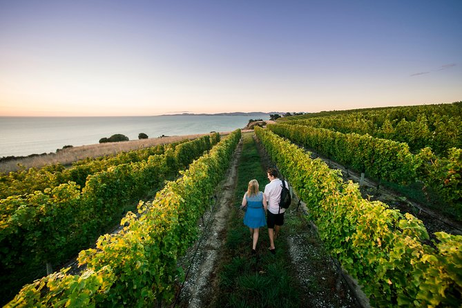 Private Marlborough Winery Tour