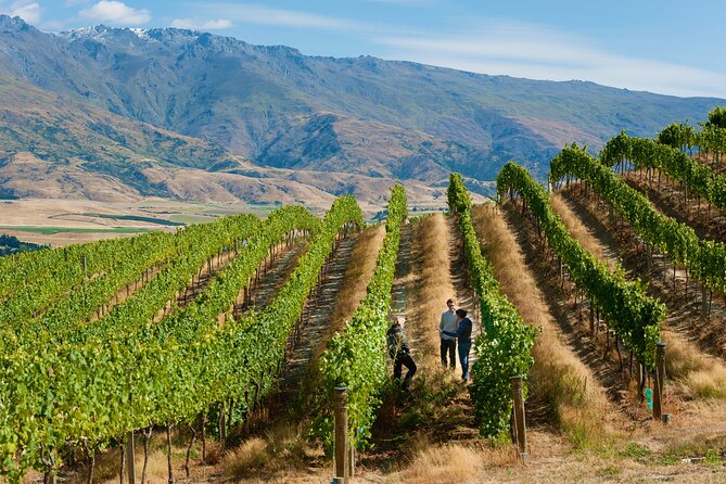 Exclusive Central Otago Wine Tour – Departs Queenstown