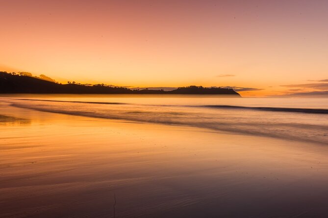 3.5 hour Sunset Tour on Waiheke Island