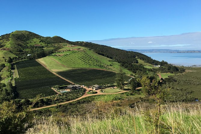 Waiheke Island Vineyards and Bush Walk